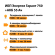 ИБП для котла Энергия Гарант 750 + Аккумулятор 55 Ач 12 В (450Вт - 67мин) - ИБП и АКБ - ИБП для котлов - . Магазин оборудования для автономного и резервного электропитания Ekosolar.ru в Химках