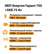 ИБП для котла Энергия Гарант 750 + Аккумулятор 75 Ач 12 В (450Вт - 91мин) - ИБП и АКБ - ИБП для котлов - . Магазин оборудования для автономного и резервного электропитания Ekosolar.ru в Химках